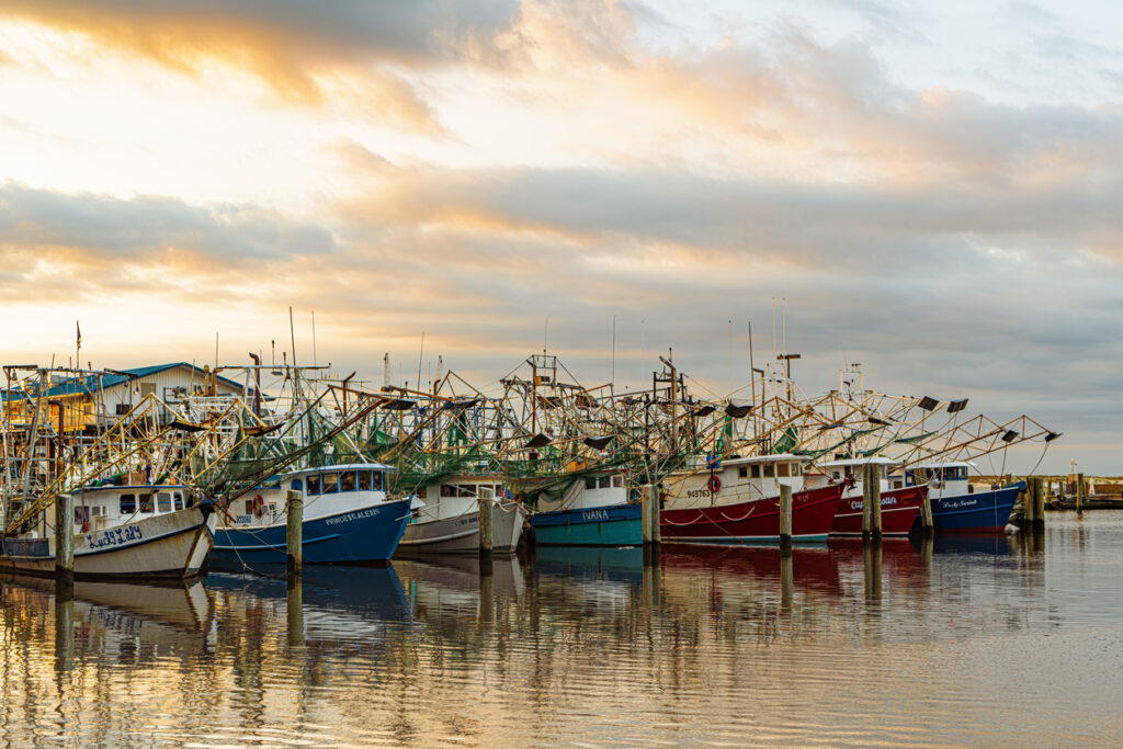 Several shrimp boats lined up along a dock at sunrise.