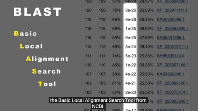 A portion of the tutorial. Text reads BLAST: Basic, Local, Alignment, Search, Tool