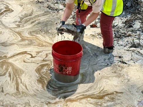 Person lifts turtle from oil into a 5-gallon bucket