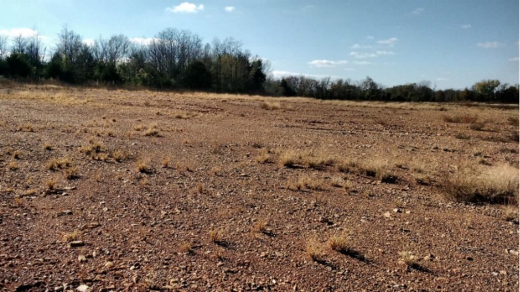 Bare Earth with sparse grass