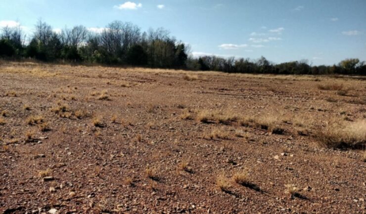 Bare Earth with sparse grass