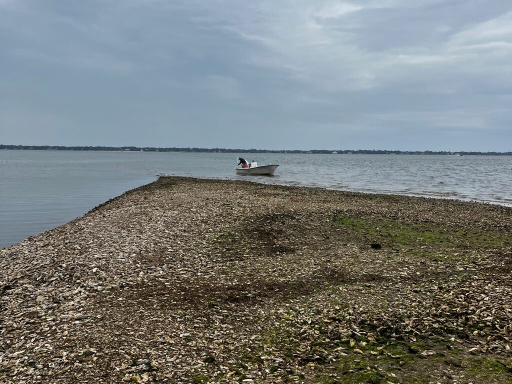 Person in a boat next to an island covered in oyster shells.