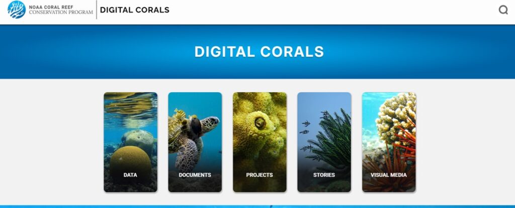 landing page for digital coral