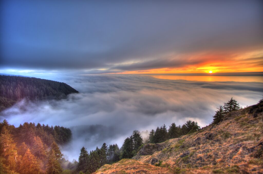 Fog fills a valley between rolling hills covered with pine and deciduous trees at sunset.
