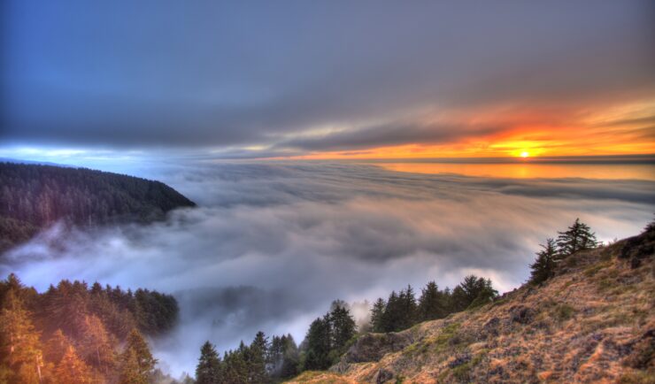 Fog fills a valley between rolling hills covered with pine and deciduous trees at sunset.