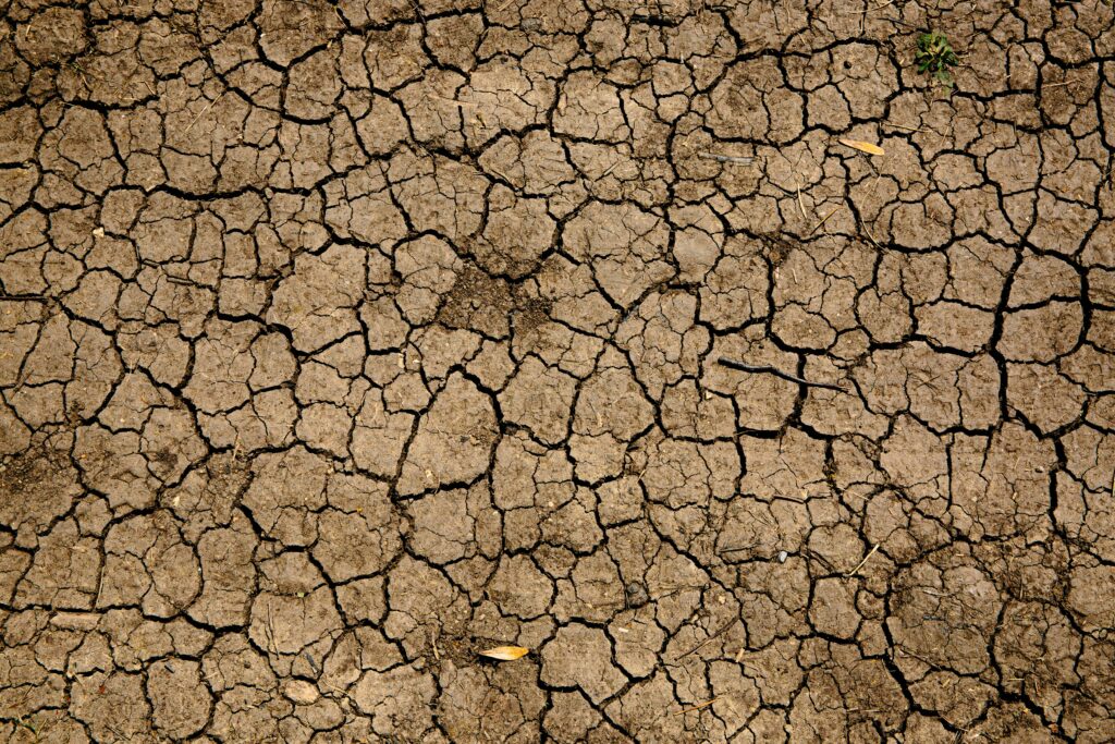 Cracked-Earth