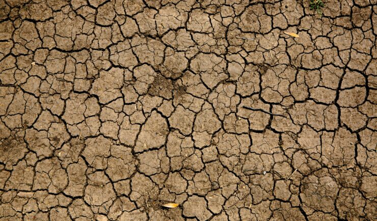Cracked-Earth