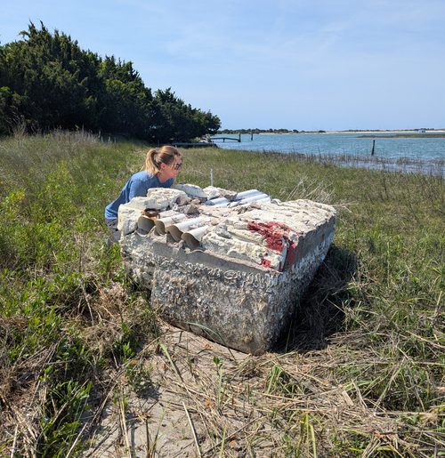 Woman crouches on a shoreline next to a large piece of floating dock washed up on shore.